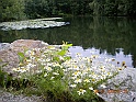 camera 033